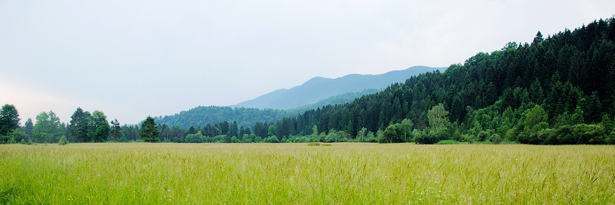 原産地マップ